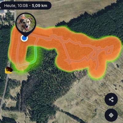 "Wege zur Freundschaft" (Ulli Reichmann)-Beitrag-Bild