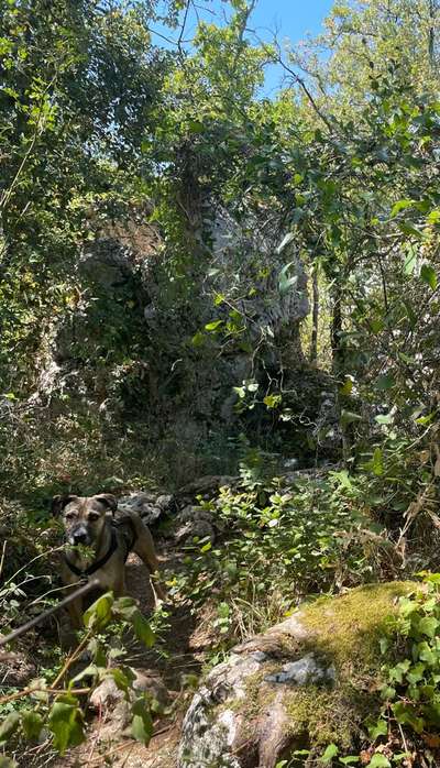 Hohe Temperaturen-Beitrag-Bild
