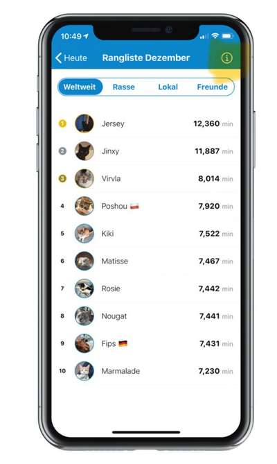 GPS Tracker-Beitrag-Bild