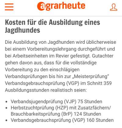 Ist Treibjagd noch zeitgemäß und mit "Hundeliebe" vereinbar?-Beitrag-Bild