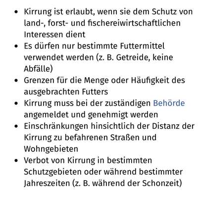 "Wege zur Freundschaft" (Ulli Reichmann)-Beitrag-Bild
