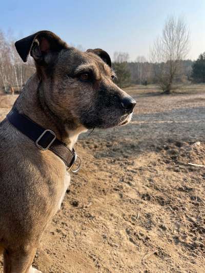 Was hat euch heute gefreut?-Beitrag-Bild