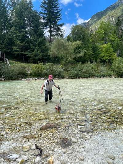 Slowenien mit Hund-Beitrag-Bild