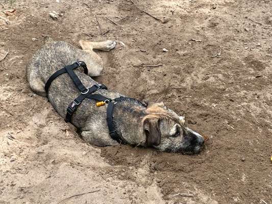 Ton in Ton-Beitrag-Bild