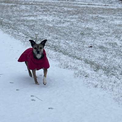 Was hat euch heute gefreut?-Beitrag-Bild