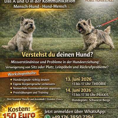 Hundetreffen-Seminar Kommunikation-Bild