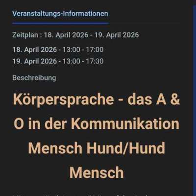 Hundetreffen-Workshop in der Hundeschule-Bild