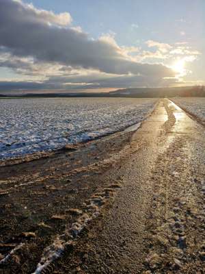 Hundeauslaufgebiet-Wahlener Platte-Bild