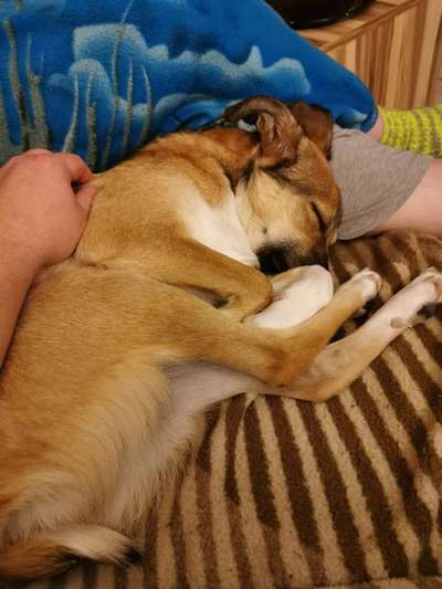 Die unbequemsten und lustigsten Schlafpositionen-Beitrag-Bild