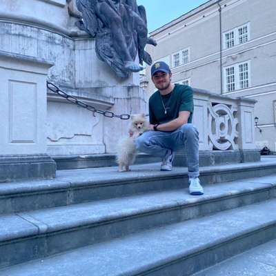 Hundetreffen-Welpentreffen Raum Hallein und in der Nähe