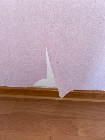 Zeig mir, dass du mit einem hund zusammenlebst....-Beitrag-Bild