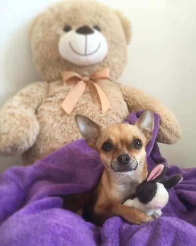 Lieblingsbild :D-Beitrag-Bild