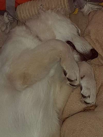 FOTO-Challenge  NR. 91: Die pure Entspannung-Beitrag-Bild