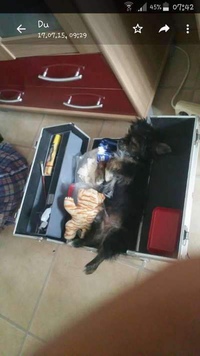 Die unbequemsten und lustigsten Schlafpositionen-Beitrag-Bild