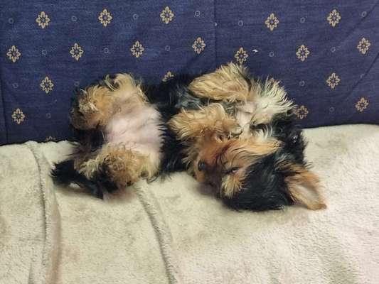 Her mit dem Grimassen-Beitrag-Bild