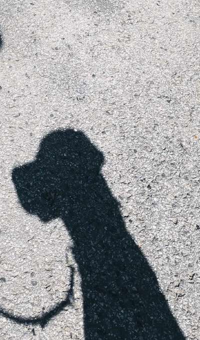 Foto Challenge Nr.135-Beitrag-Bild