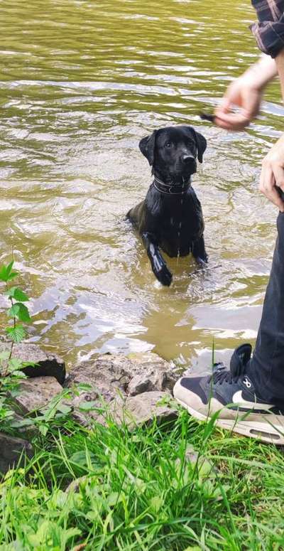 Dogorama Photo Challenge - Wasserspiele-Beitrag-Bild