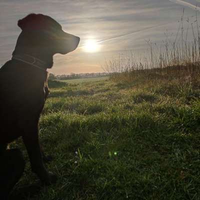 Farben Fotochallenge Sonnenlicht-Beitrag-Bild