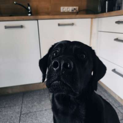 147. Foto Challenge: Bettelblick-Beitrag-Bild