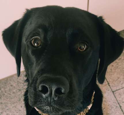 150. Foto Challaenge:  Die Augen, der Spiegel der Seele-Beitrag-Bild