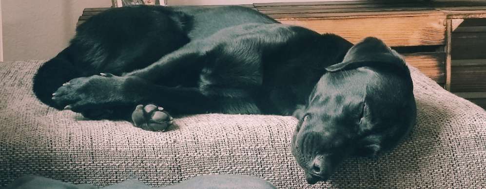 Foto Challenge Nr. 134-Beitrag-Bild