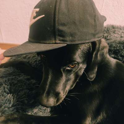 149. Foto Challenge: Wer ist hier der Boss!-Beitrag-Bild