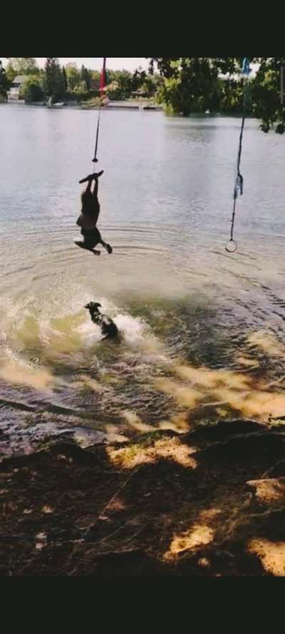 154. FotoChallenge * AUFS BILD GEMOGELT *-Beitrag-Bild