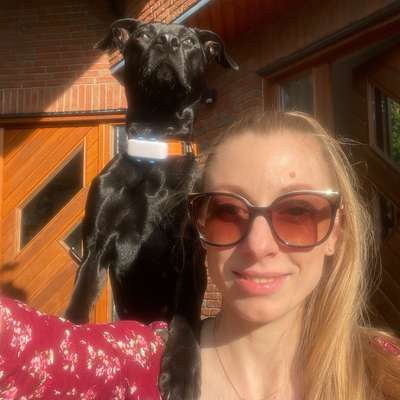 Hundetreffen-Social-Walk (inkl. Alltagsübungen)