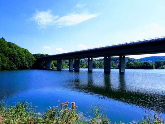 Hundeauslaufgebiet-Seilersee Iserlohn-Bild