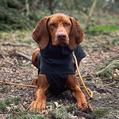 Foto Challenge Nr. 79-Beitrag-Bild