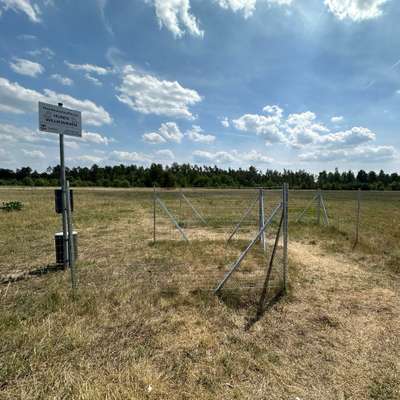 Titelbild Gruppe Pfotenfreunde Cottbus 🐾