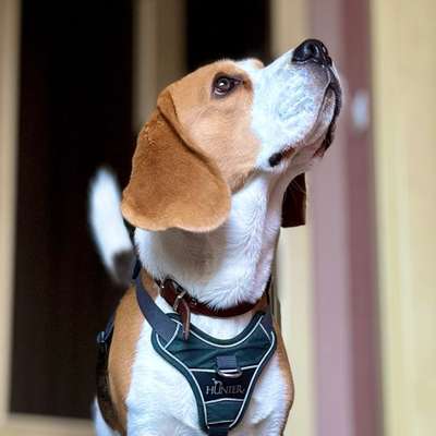 Anne & Raphael's Profilbild