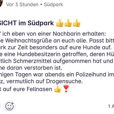 Giftköder-Mögliche Schmerzmittel-Bild