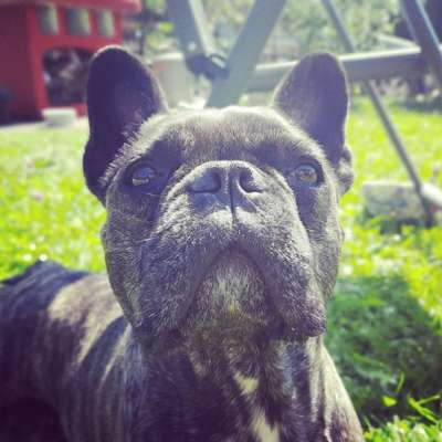 Fotochallange Nr. 57     PORTRÄT.   Beendet!!!!!!!!-Beitrag-Bild