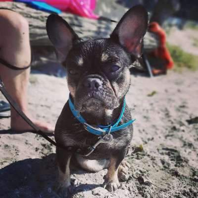 Fotochallange Nr. 57     PORTRÄT.   Beendet!!!!!!!!-Beitrag-Bild