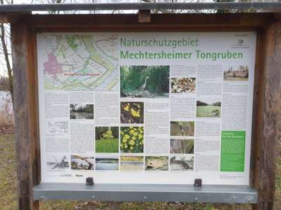 Hundeauslaufgebiet-Mechtersheimer Tongruben-Bild