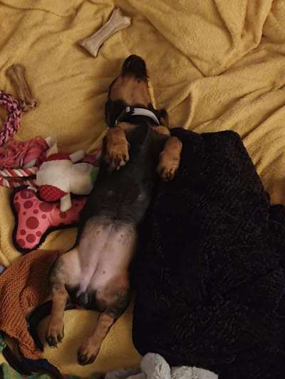 Die unbequemsten und lustigsten Schlafpositionen-Beitrag-Bild