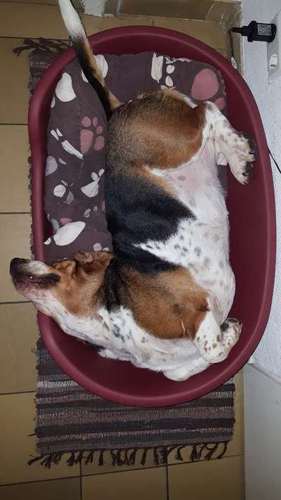 Die unbequemsten und lustigsten Schlafpositionen-Beitrag-Bild