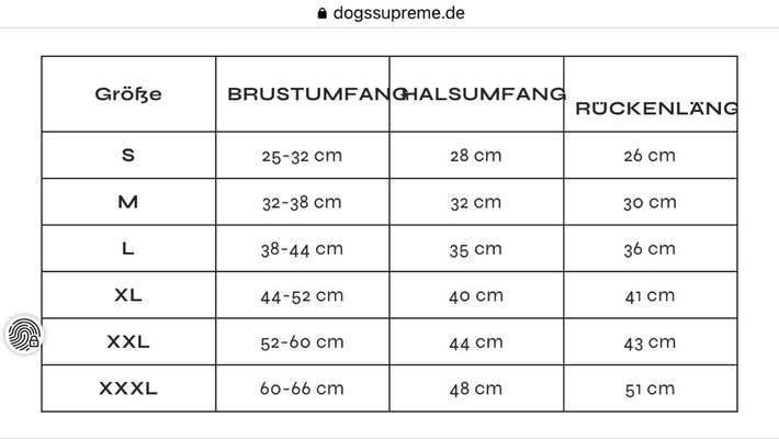 Französische Bulldoggen-Beitrag-Bild