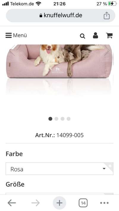 Französische Bulldoggen-Beitrag-Bild