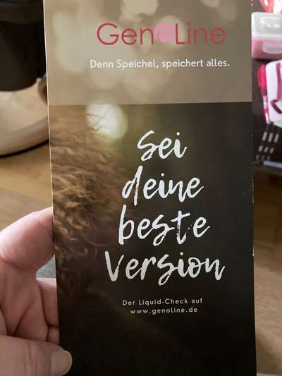 Französische Bulldoggen-Beitrag-Bild