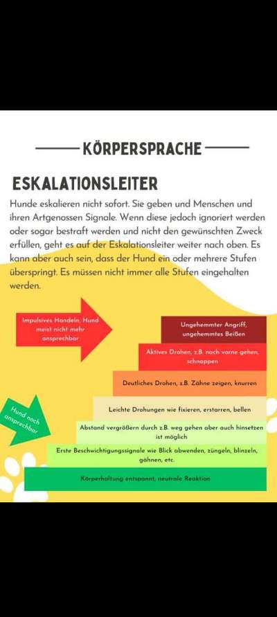 Hündin knurrt bei Leckerli weg nehmen..-Beitrag-Bild