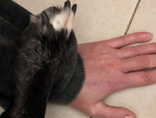 Goodbye, my fellow friend-Beitrag-Bild