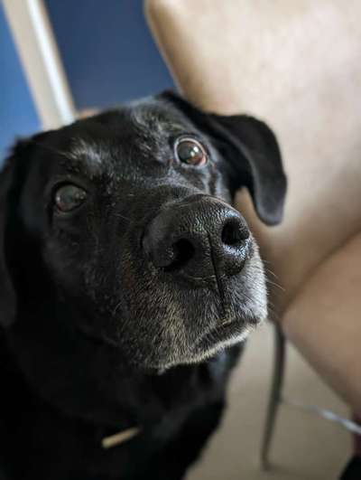 Goodbye, my fellow friend-Beitrag-Bild