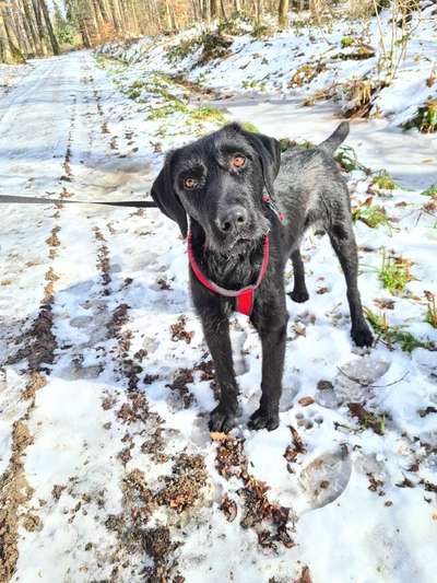 Lieblingsbild :D-Beitrag-Bild