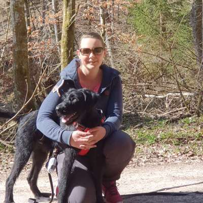 Hundmenschfotos-Beitrag-Bild