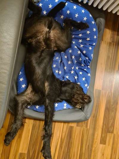 Die unbequemsten und lustigsten Schlafpositionen-Beitrag-Bild