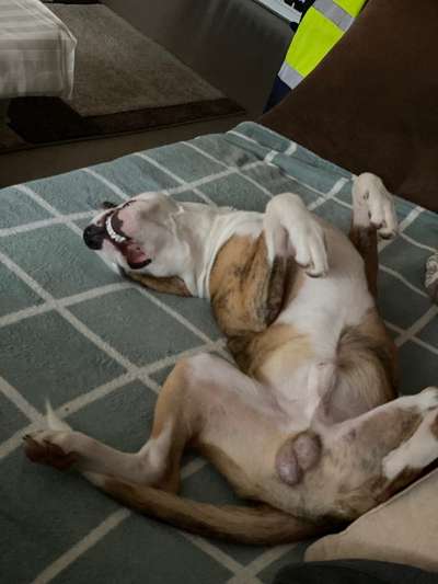 Fotochallenge Nr.65-Beitrag-Bild