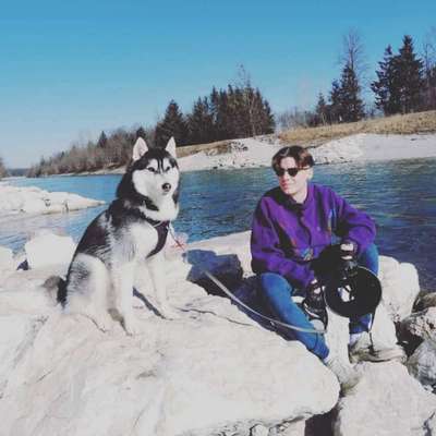 Reinrassige Hunde?-Beitrag-Bild