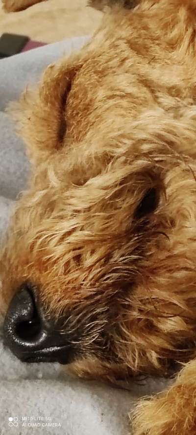 Blick fürs Detail!-Beitrag-Bild